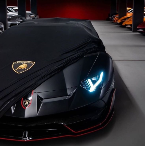 LAMBORGHINI AVENTADOR SVJ (2018-) Indoor Car Cover
