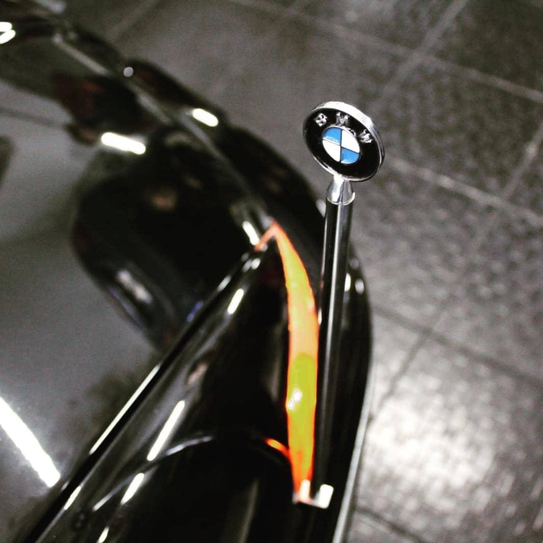 BMW Chrome Parking Pole Flag Pole Park Bar Parkingpole