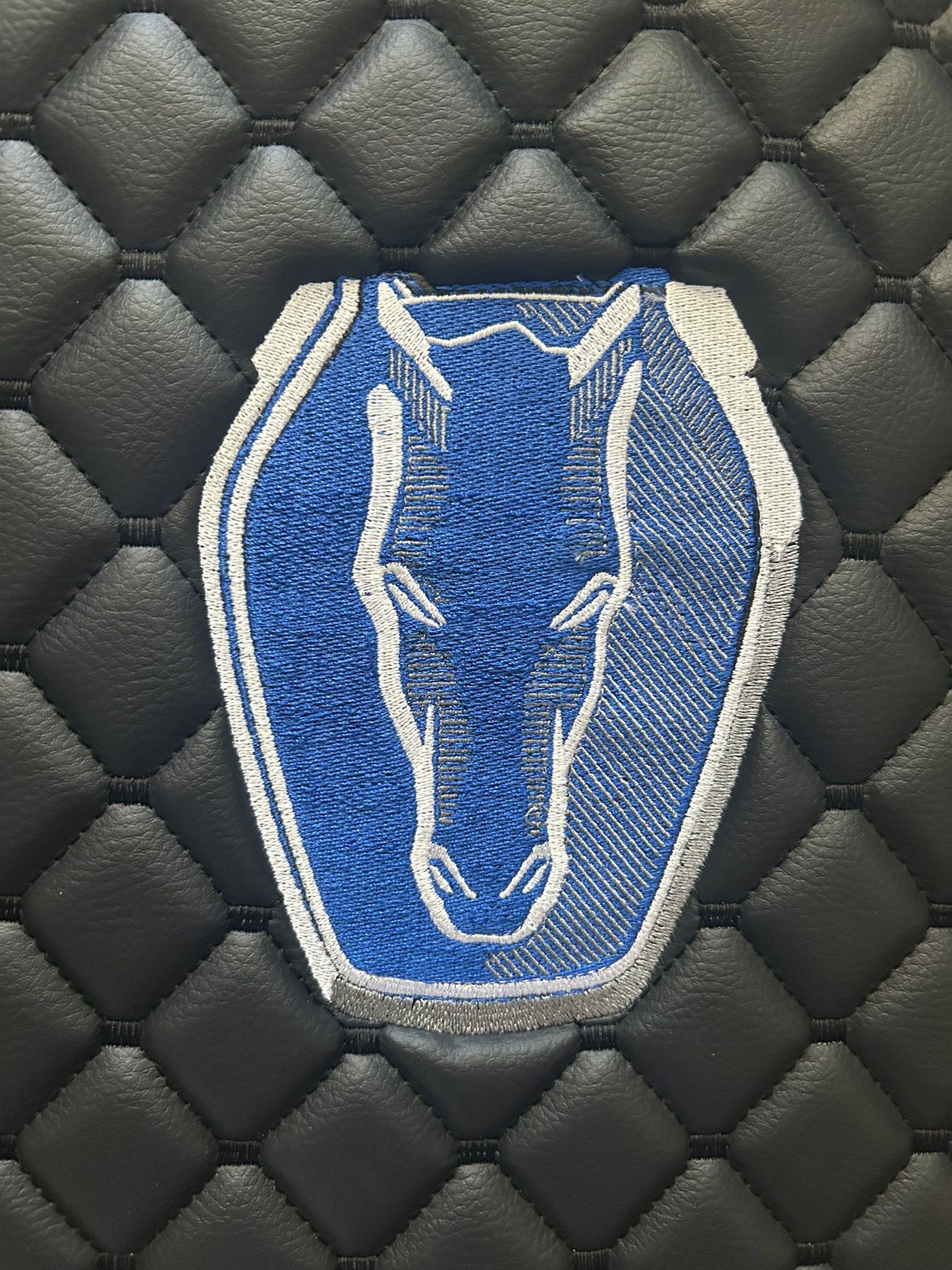 Mustang Dark Horse Leather Floor Mats Custom Waterproof Car Mats for all DarkHorse Series